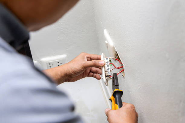 Best Local Electrician Companies  in Dover, FL