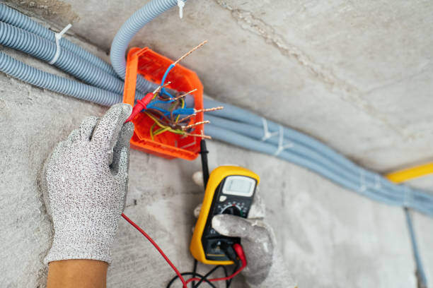 Best Licensed Electrician  in Dover, FL